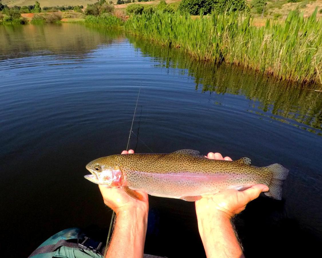 Walkersons Trout And Nature Haven Dullstroom Ngoại thất bức ảnh