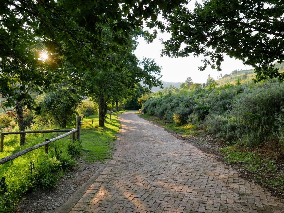 Walkersons Trout And Nature Haven Dullstroom Ngoại thất bức ảnh