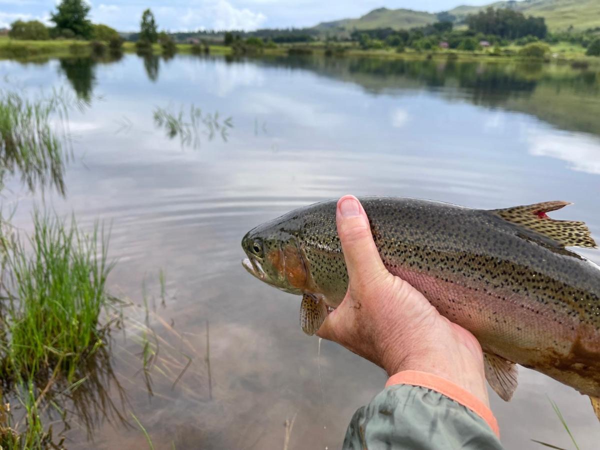 Walkersons Trout And Nature Haven Dullstroom Ngoại thất bức ảnh