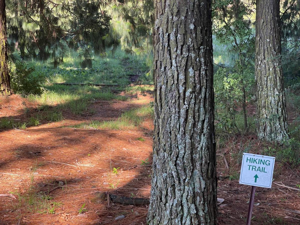 Walkersons Trout And Nature Haven Dullstroom Ngoại thất bức ảnh